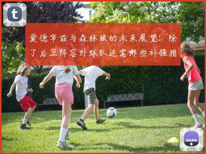 爱德华兹与森林狼的未来展望：除了后卫阵容外球队还需哪些补强措施